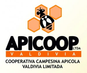 COOPERATIVA APICOOP : POTENCIANDO EL DESARROLLO NACIONAL item-thumbnail