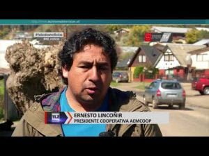 Cooperativas mapuches experiencias exitosas de negocios item-thumbnail