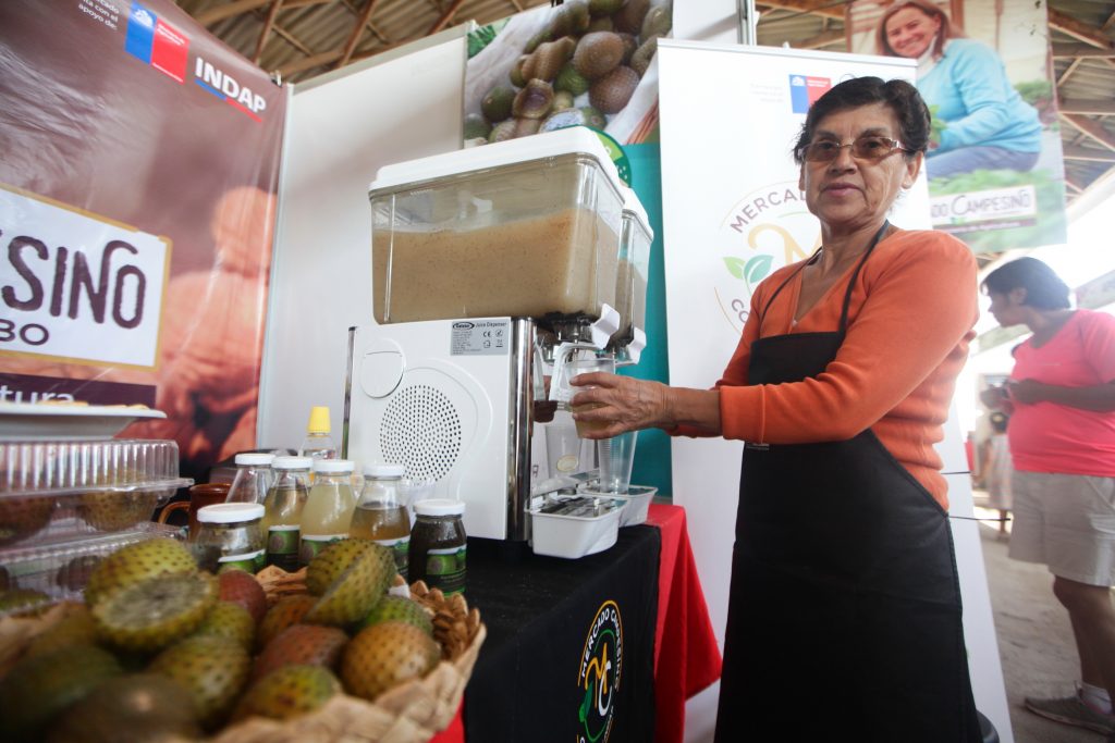 Cooperativa campesina del Limarí quiere entrar al mercado con “jugo isotónico” de rumpa item-thumbnail