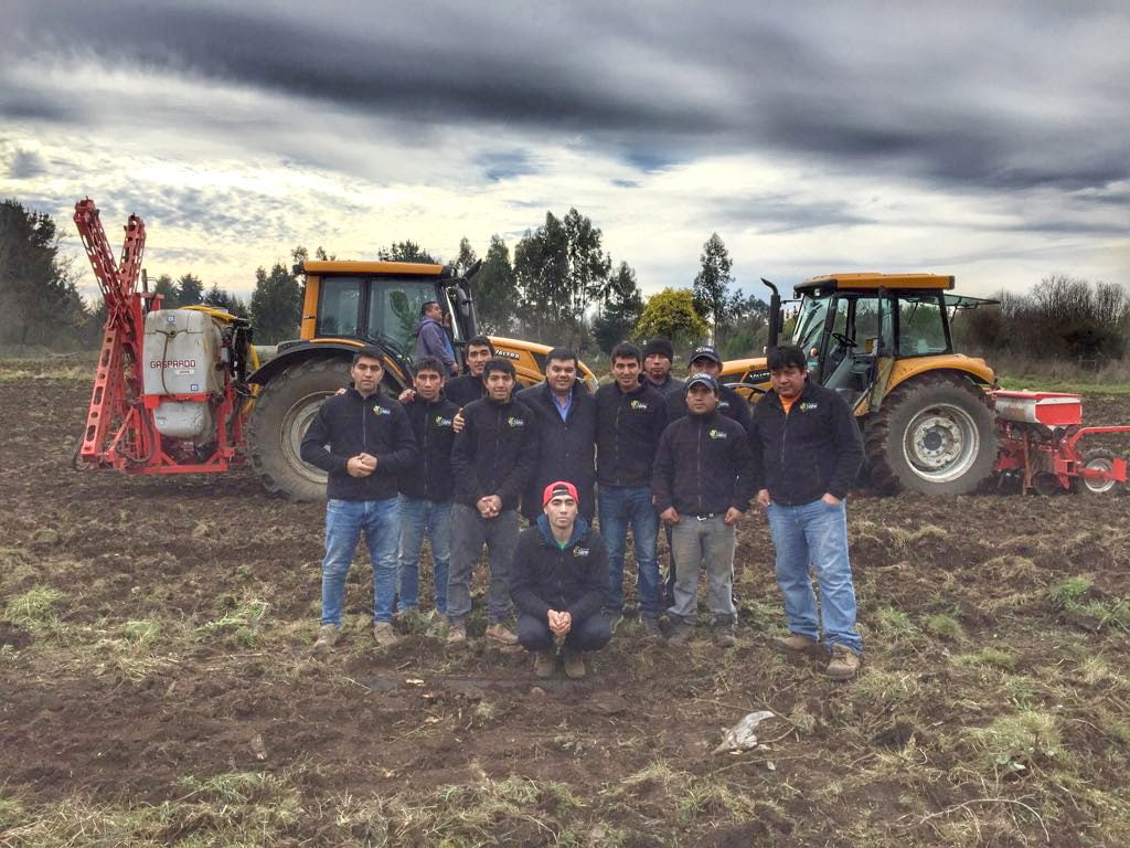 Cooperativa mapuche de Vilcún produce más de 2 millones de lechugas al año gracias al apoyo de CONADI item-thumbnail