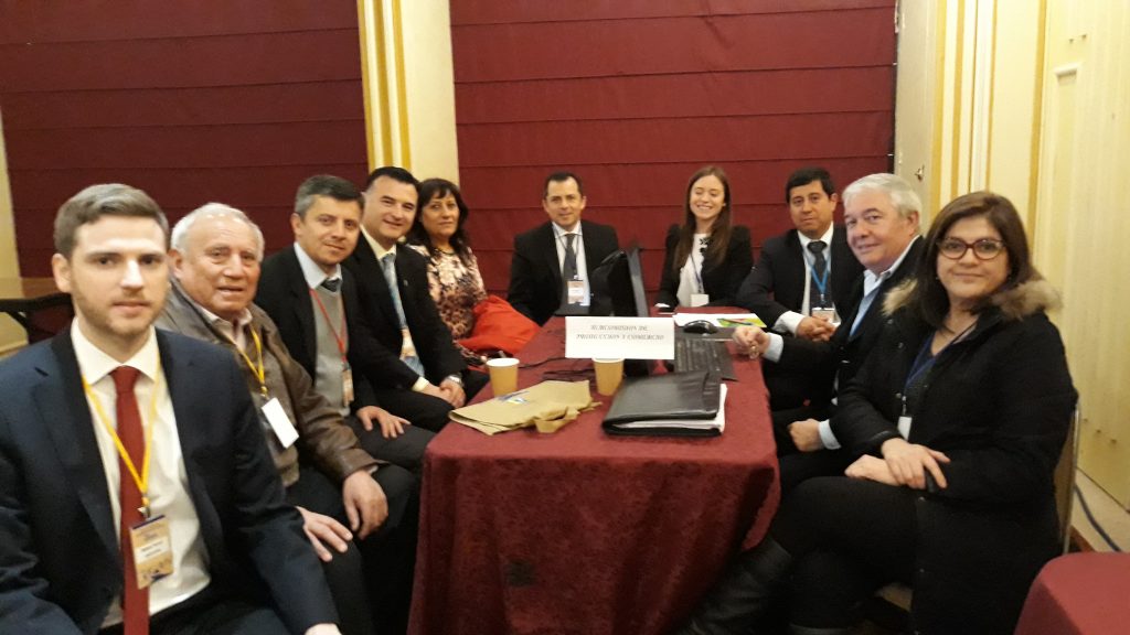 Multigremial de Osorno participó en Comité Binacional de Fronteras item-thumbnail