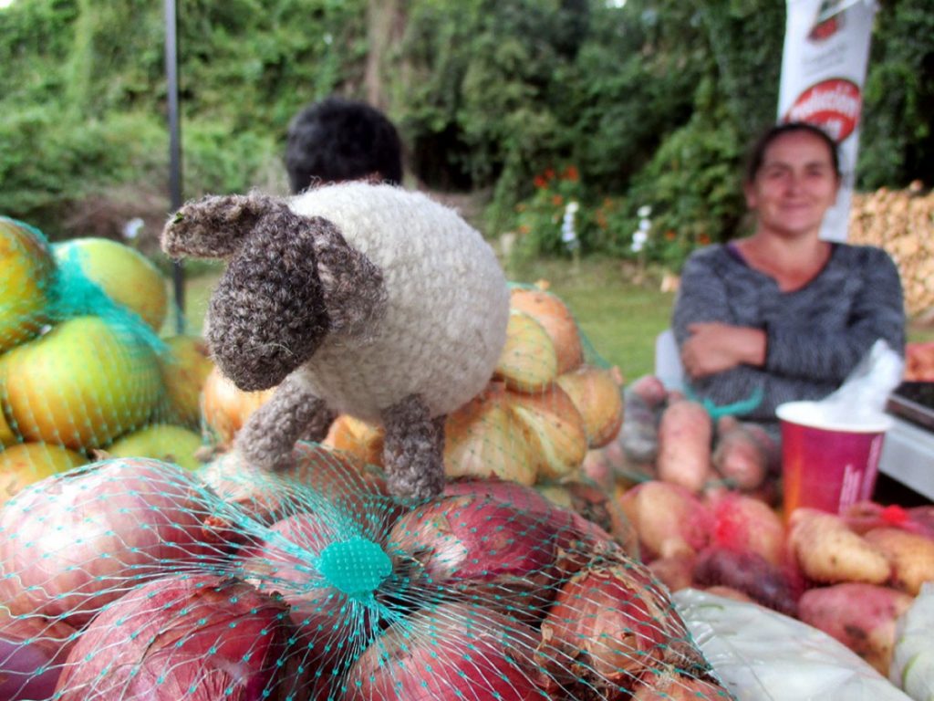 Cooperativas de la Agricultura Familiar Campesina de todo Chile expondrán en Frutillar item-thumbnail