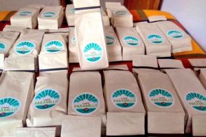 Café Paramillo, una experiencia de construcción de paz en Colombia item-thumbnail