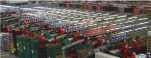 Las cooperativas refuerzan su trabajo para abastecer a la población item-thumbnail