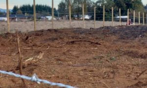 De Urresti denuncia a empresa que realiza obras en Pichoy item-thumbnail