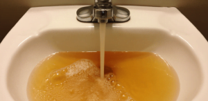 Incertidumbre en Quintay: vecinos exigen salubridad del agua para enfrentar la crisis sanitaria item-thumbnail
