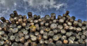 Pymes madereras de Talca y Maule quieren acordar producción limpia y cumplir con límite de emisiones item-thumbnail