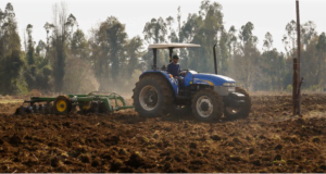 Crédito Cobin de Indap impulsa avance de productores y comunidades indígenas item-thumbnail