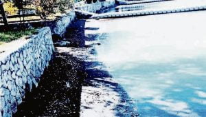 Alerta por bajo nivel de agua de Laguna Chica de San Pedro de la Paz Alerta por bajo nivel de agua de Laguna Chica de San Pedro de la Paz