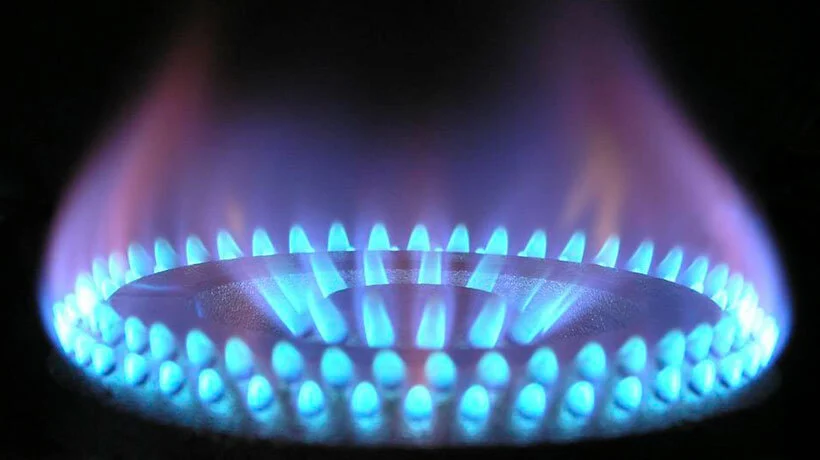 Ministerio de Energía presentará iniciativa en el Congreso sobre venta de “gas a precio justo”