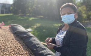 Productores Agroecológicos de Isla de Maipo Lanzan Sitio Web Realizado Gracias a un Proyecto Progyso. Productores Agroecológicos de Isla de Maipo Lanzan Sitio Web Realizado Gracias a un Proyecto Progyso.