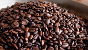 Se creará Instituto Nacional del Café como una asociación público-privada. Se creará Instituto Nacional del Café como una asociación público-privada.