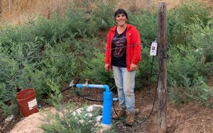 Más de un centenar de productores de Ñuble fueron beneficiados con obras menores de riego durante 2021. Más de un centenar de productores de Ñuble fueron beneficiados con obras menores de riego durante 2021.