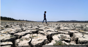 Modelo Cooperativo Para Enfrentar la Sequía