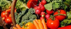 El tomate sigue siendo la especie más exportada entre las hortalizas. El tomate sigue siendo la especie más exportada entre las hortalizas.