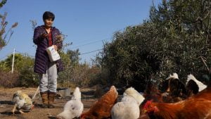Director Nacional Santiago Rojas, Tras Visita a Agricultores Orgánicos de Curacaví: “INDAP Fortalecerá la Producción Sostenible” Director Nacional Santiago Rojas, Tras Visita a Agricultores Orgánicos de Curacaví: “INDAP Fortalecerá la Producción Sostenible”