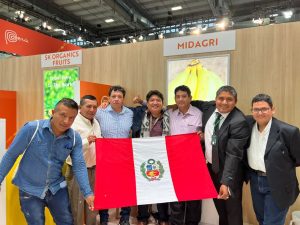 Sullana: Bananeros Buscan Nuevos Mercados y Reestructurar Asociatividad. Sullana: Bananeros Buscan Nuevos Mercados y Reestructurar Asociatividad.