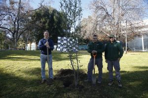 Día Mundial del Árbol | UNAB Planta un Quillay, una Especie Nativa, que Aporta al Medio Ambiente.