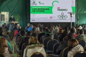 Innovación y Asociatividad: Claves para el Impulso de Pymes Madereras. Innovación y Asociatividad: Claves para el Impulso de Pymes Madereras.