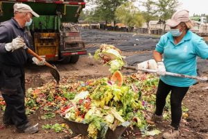 Estudio Chileno Expone la Falta de Reducción de Residuos en el Mundo Agrícola. Estudio Chileno Expone la Falta de Reducción de Residuos en el Mundo Agrícola.