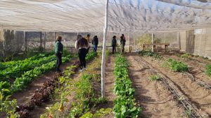 Jóvenes Rurales de Atacama Conocen Experiencias de Asociatividad, Agroecología e Innovación en Coquimbo Jóvenes Rurales de Atacama Conocen Experiencias de Asociatividad, Agroecología e Innovación en Coquimbo
