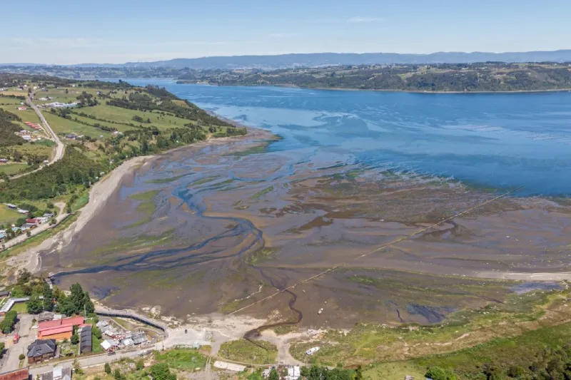 Chiloé: Ministerio del Medio Ambiente Declara Tres Humedales Costeros Como Nuevos Santuarios de la Naturaleza