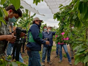 Extensión Puede Hacer la Diferencia Extensión Puede Hacer la Diferencia