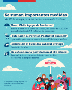 Destacan Extensión del Plan Chile Apoya con Bono de Invierno item-thumbnail