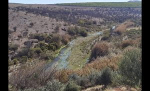 Por Sequía y Falta de Abonos: Renuevan Decreto de Emergencia Agrícola para la Región de Coquimbo Por Sequía y Falta de Abonos: Renuevan Decreto de Emergencia Agrícola para la Región de Coquimbo