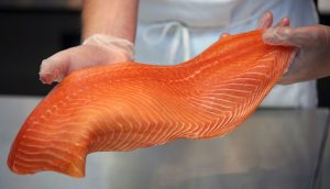 Litio y Salmón: Los Productos Chilenos Más Exportados en el Primer Semestre Litio y Salmón: Los Productos Chilenos Más Exportados en el Primer Semestre