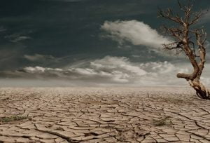 Encuentro de Educación Ambiental Abordará las Emociones Ante el Cambio Climático Encuentro de Educación Ambiental Abordará las Emociones Ante el Cambio Climático