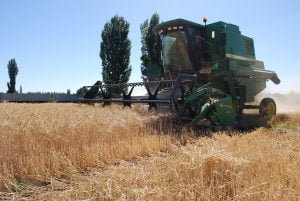 Adelantan Positivo Desarrollo del Sector Agrícola Debido a Oportunidades de Inversión Adelantan Positivo Desarrollo del Sector Agrícola Debido a Oportunidades de Inversión