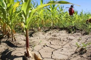 Gremio Agrícola Llama a Contar Con Herramientas Públicas Permanentes Para Enfrentar Sequía