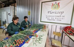 “Con Ganas de Seguir Creciendo”: Cooperativa Floricoop de Pan de Azúcar Festeja su Décimo Aniversario