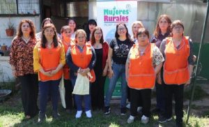 Agrupación Sabores de Nancagua Logra Meta de Producir Destilado y Aceites Esenciales de Naranjas Agrupación Sabores de Nancagua Logra Meta de Producir Destilado y Aceites Esenciales de Naranjas