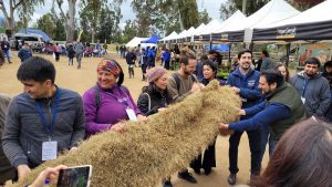 Catapilco: Centenar de Jóvenes Rurales de la Región de Valparaíso se Reúnen Para Impulsar la Agroecología