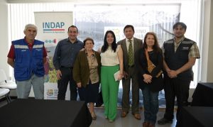 Gobierno Regional del Maule e INDAP Llaman a Postular a Bono Para Alimentación Ganadera y Apícola