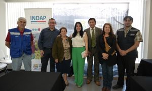 Gobierno Regional del Maule e INDAP Llaman a Postular a Bono Para Alimentación Ganadera y Apícola Gobierno Regional del Maule e INDAP Llaman a Postular a Bono Para Alimentación Ganadera y Apícola