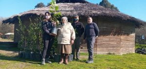 CONAF Superó la Meta Histórica y Donó Más de 21 mil Árboles en el Maule CONAF Superó la Meta Histórica y Donó Más de 21 mil Árboles en el Maule