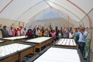 Agricultores de Zonas Rezagadas Trabajan en Cultivos Hidropónicos Apoyados por INIA INTIHUASI Agricultores de Zonas Rezagadas Trabajan en Cultivos Hidropónicos Apoyados por INIA INTIHUASI