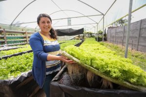 Chile Será Anfitrión de la Reunión Más Importante Para la Agricultura Familiar Campesina de la Región