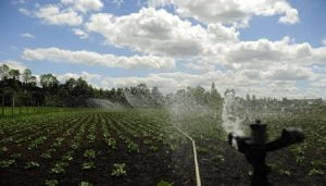 INDAP O’Higgins Convoca a Agricultores a Postular a Concursos de Riego: hay 1.450 Millones de Pesos INDAP O’Higgins Convoca a Agricultores a Postular a Concursos de Riego: hay 1.450 Millones de Pesos