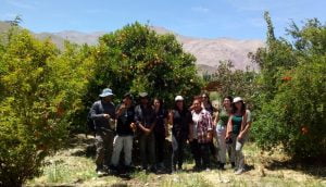 Jóvenes Rurales de Atacama Conocen Experiencias Apícolas y de Agricultura Orgánica en Alto del Carmen