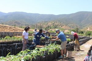 Sostenibilidad con Enfoque de Género en Agrícola La Quebrada del Ají Sostenibilidad con Enfoque de Género en Agrícola La Quebrada del Ají