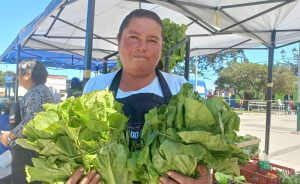 Ocho Agricultores Ofrecen sus Productos Frescos en el Primer Mercado Campesino de la Comuna de Cartagena Ocho Agricultores Ofrecen sus Productos Frescos en el Primer Mercado Campesino de la Comuna de Cartagena