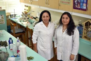 Profesional del INIA La Cruz se Capacita en Laboratorio de Entomología UACh