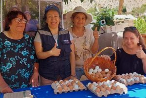 Producción de Huevos de Gallinas Felices Fortalece la Asociatividad de Mujeres Rurales en Alto del Carmen