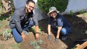 Implementan Jardines Urbanos Demostrativos Para la Conservación de Flora Costera Endémica en Taltal, Tocopilla y Antofagasta