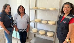 Subdirectora Nacional (S) de INDAP Conoció el Trabajo de Productoras Caprinas en Limarí y Choapa Subdirectora Nacional (S) de INDAP Conoció el Trabajo de Productoras Caprinas en Limarí y Choapa