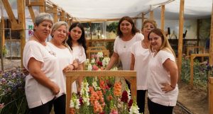 A $410 Mil Aumentó el Aporte Anual Para las Participantes del Programa Mujeres Rurales INDAP-Prodemu A $410 Mil Aumentó el Aporte Anual Para las Participantes del Programa Mujeres Rurales INDAP-Prodemu